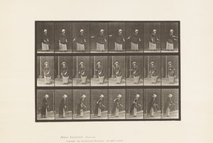 プレート296。ローンテニス 作： Eadweard Muybridge