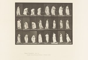 プレート299ボールで遊ぶ 作： Eadweard Muybridge