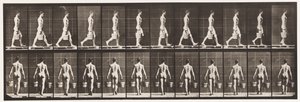 プレート29.ウォーキング、両手に水のバケツを運ぶ、1872〜1885 作： Eadweard Muybridge