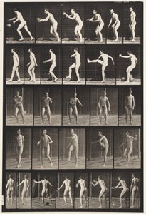 プレート300.フットボール;ドロップキック、1885 作： Eadweard Muybridge