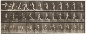 プレート301.フットボール;パント、1885 作： Eadweard Muybridge