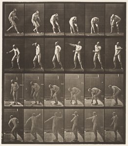 プレート302.ボールを拾って投げる、1885 作： Eadweard Muybridge