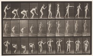 プレート304。ボールを拾って投げる 作： Eadweard Muybridge