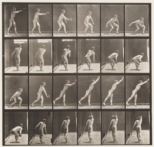 プレート307。鉄の円盤を投げる、1872〜1885 作： Eadweard Muybridge