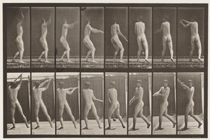 プレート309。ハンマー投げ 作： Eadweard Muybridge