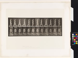 プレート30両手に水の入ったバケツを持って歩く姿 作： Eadweard Muybridge