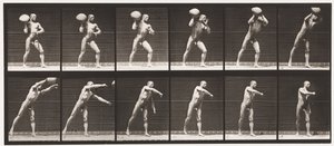 プレート311。75ポンドの岩を持ち上げて、1885年 作： Eadweard Muybridge