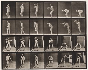 プレート312.75ポンドの岩を持ち上げる 作： Eadweard Muybridge