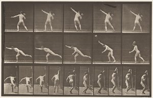 プレート313.20ポンドの岩石を積んで、1885年 作： Eadweard Muybridge