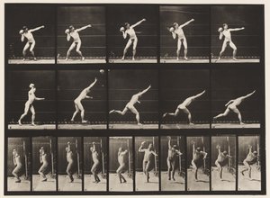 プレート314。20ポンドの岩を持ち上げる 作： Eadweard Muybridge