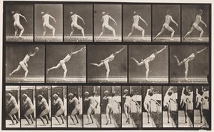 プレート316.20ポンドの岩石を積んで、1885年 作： Eadweard Muybridge