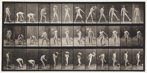 プレート317。70ポンドの岩を持ち上げる 作： Eadweard Muybridge