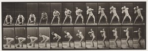 プレート318。75ポンドの岩を持ち上げる、1872〜1885 作： Eadweard Muybridge