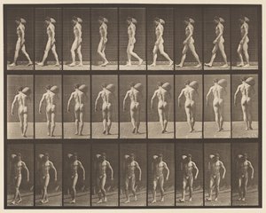 プレート31.歩く、右肩に75ポンドの石を運ぶ 作： Eadweard Muybridge