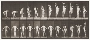 プレート321。A、50ポンドのダンベルを持ち上げる。 B、ポーズ 作： Eadweard Muybridge