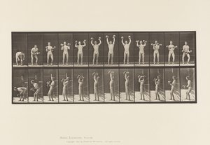 プレート322ダンベルを持ち上げる男性 作： Eadweard Muybridge