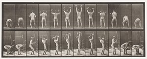 プレート323。2つの50ポンドのダンベルを持ち上げて降ろす 作： Eadweard Muybridge