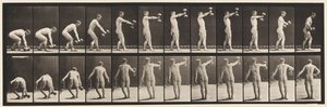 プレート326。50ポンドを持ち上げます。腕の長さのダンベル 作： Eadweard Muybridge
