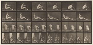 プレート328。ローイング 作： Eadweard Muybridge