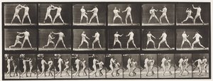 プレート329。ボクシング; （靴） 作： Eadweard Muybridge