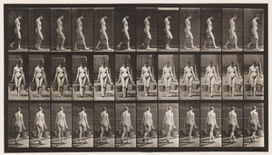 プレート32.歩く、両手に水の入ったバケツを運ぶ 作： Eadweard Muybridge