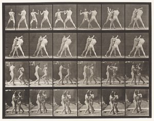 プレート330。ボクシング;クロスカウンター（靴） 作： Eadweard Muybridge