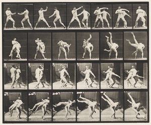 プレート332。ボクシング。クロス臀部（靴） 作： Eadweard Muybridge