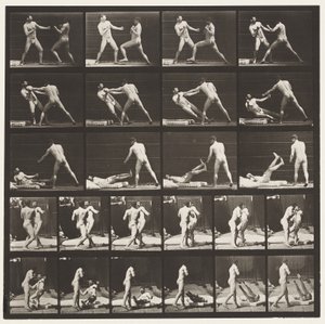 プレート333。ボクシング; 53ノック52ダウン（靴） 作： Eadweard Muybridge