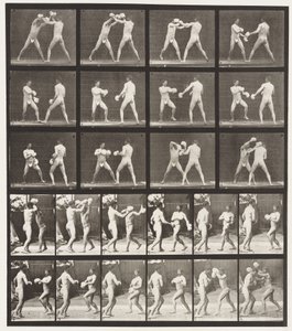 プレート334。ボクシング;手袋付き（靴） 作： Eadweard Muybridge
