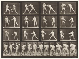 プレート335。ボクシング。手袋付き 作： Eadweard Muybridge
