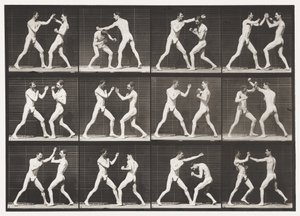 プレート336。ボクシング;オープンハンド（靴） 作： Eadweard Muybridge