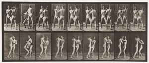プレート337。ボクシング。開いた手 作： Eadweard Muybridge