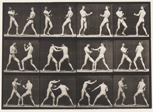 プレート338。ボクシング;オープンハンド（靴） 作： Eadweard Muybridge