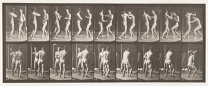 プレート339。ボクシング。開いた手 作： Eadweard Muybridge