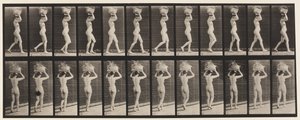 プレート33。ウォーキング、14ポンド。頭の上のバスケット、挙手、1872-1885 作： Eadweard Muybridge