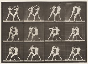 プレート340ボクシング、オープンハンド 作： Eadweard Muybridge