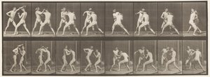 プレート342。ボクシング。オープンハンド、1872-1885 作： Eadweard Muybridge