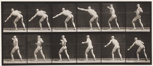 プレート343。打撃（左手） 作： Eadweard Muybridge