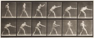 プレート 344一撃を加える（右手 作： Eadweard Muybridge