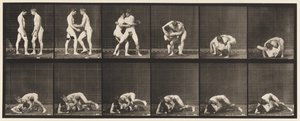 プレート345レスリング、ロック、1885 作： Eadweard Muybridge