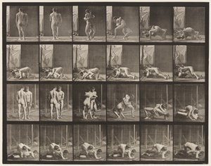 プレート346レスリング、ロック 作： Eadweard Muybridge