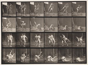 プレート348レスリング、グレコローマン、1885 作： Eadweard Muybridge