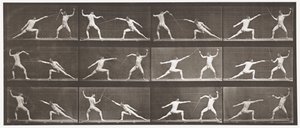プレート349。フェンシング、1872〜1885 作： Eadweard Muybridge