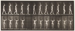 プレート34.ウォーキング 作： Eadweard Muybridge