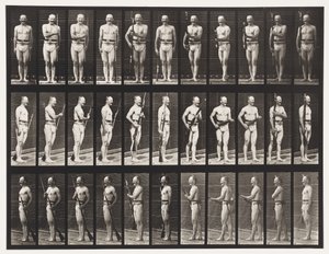 プレート351。銃剣の固定と固定解除、1872〜1885 作： Eadweard Muybridge