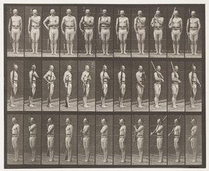 プレート352。肩、注文、およびキャリーアーム 作： Eadweard Muybridge