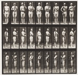 プレート353。サポートアームとアームポート、1872〜1885 作： Eadweard Muybridge