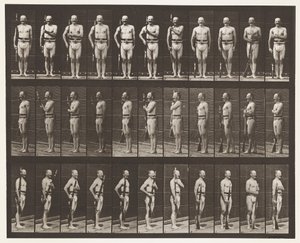 プレート354。キャリーアーム、パレードレスト、トレイルアーム 作： Eadweard Muybridge