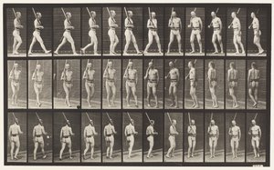 プレート355。警備、歩行、方向転換 作： Eadweard Muybridge