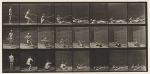 プレート358。仰向けに横たわって、発砲、1872年から1885年 作： Eadweard Muybridge